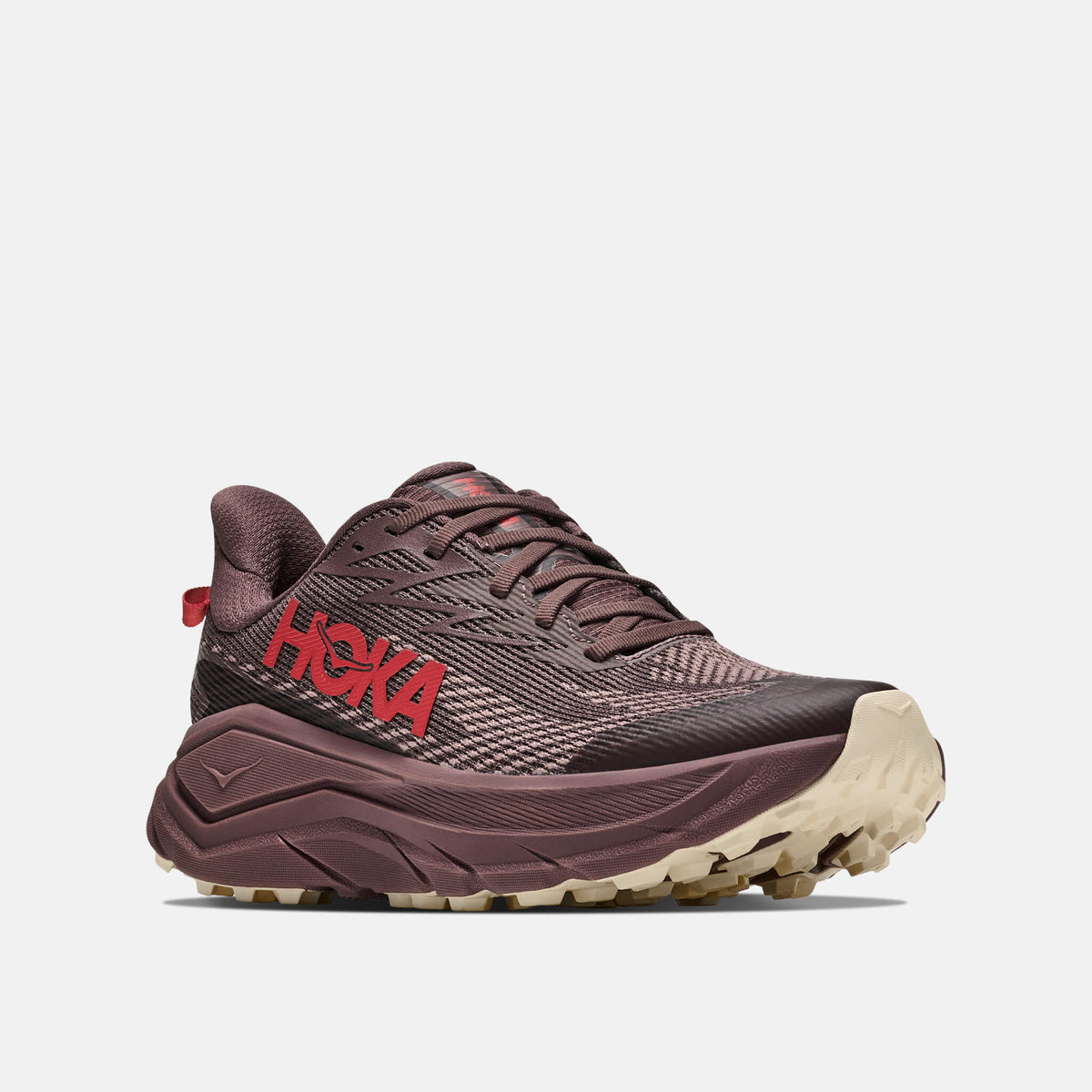 Hoka Challenger 8 GTX Smoky Quartz/Alabaster