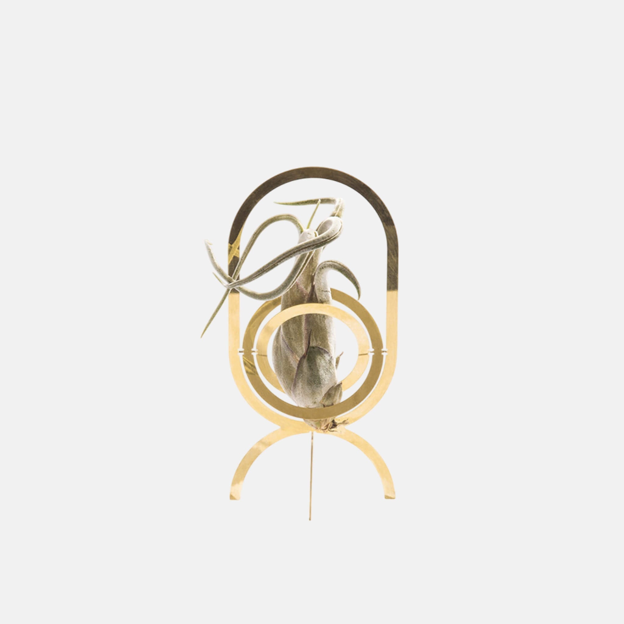Fundamental Berlin Air Trophy Brass