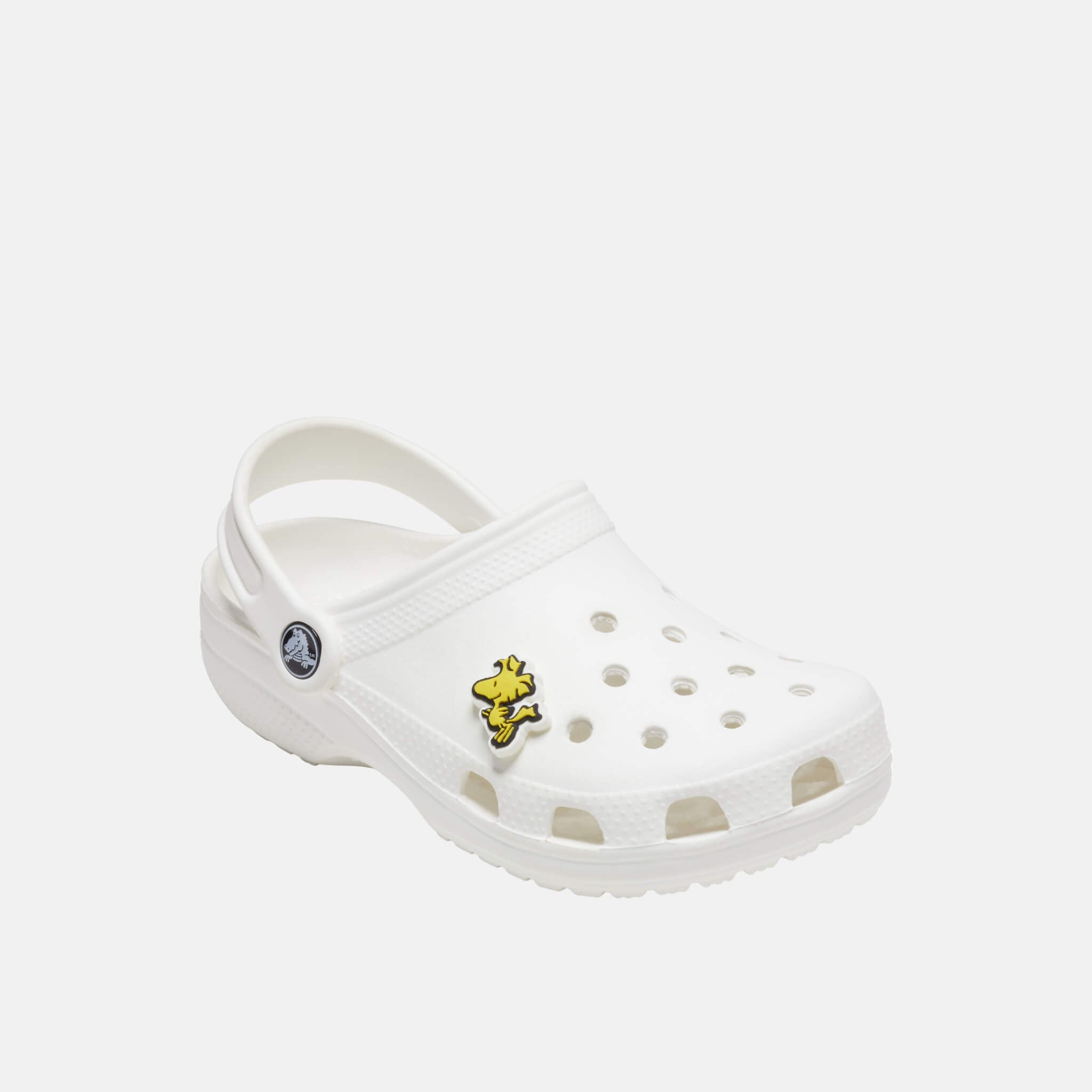 Jibbitz Charms Peanuts Woodstock